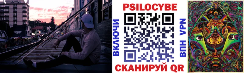 Купить закладки  Чкаловск  Псилоцибиновые грибы Cubensis 